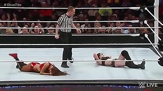 Nikki Bella vs Paige Raw 3 23 15.